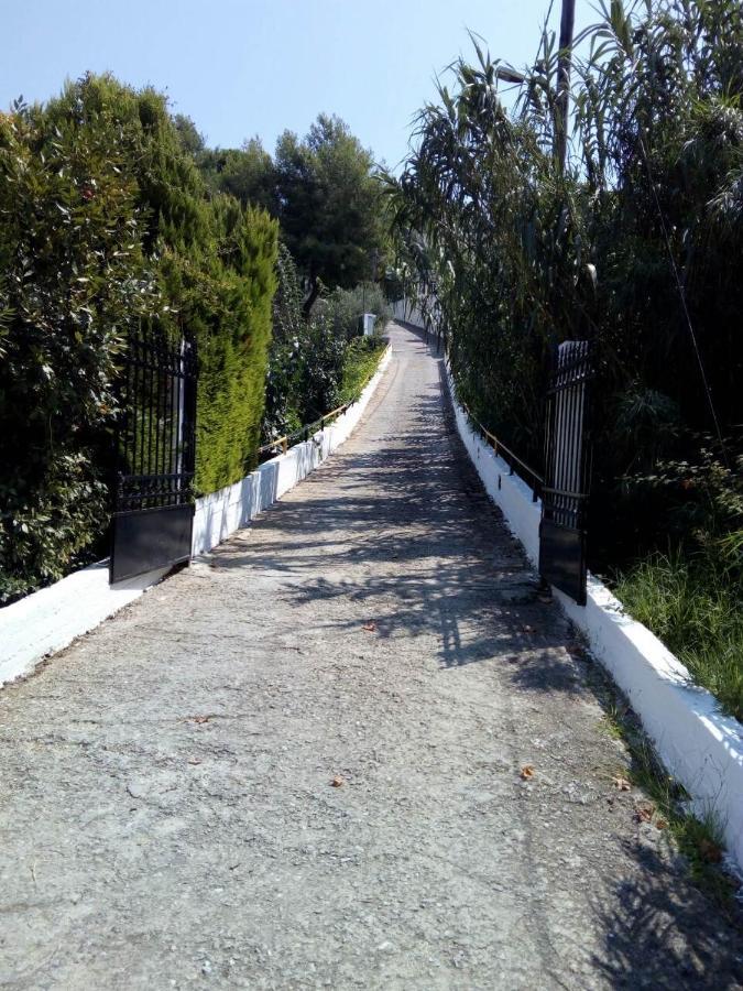 Villa Xanthippi Agia Paraskevi  Luaran gambar
