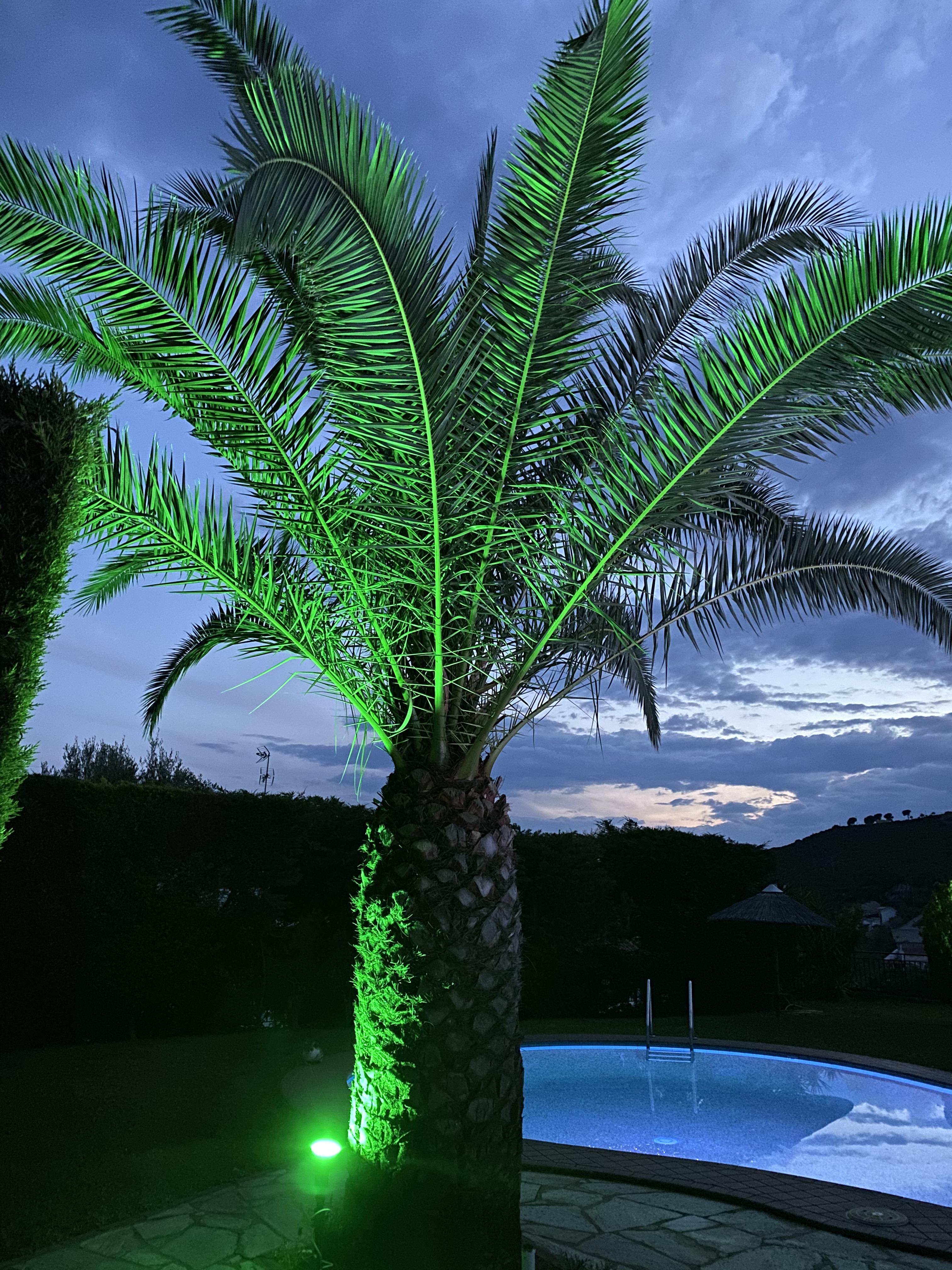 Villa Xanthippi Agia Paraskevi  Luaran gambar